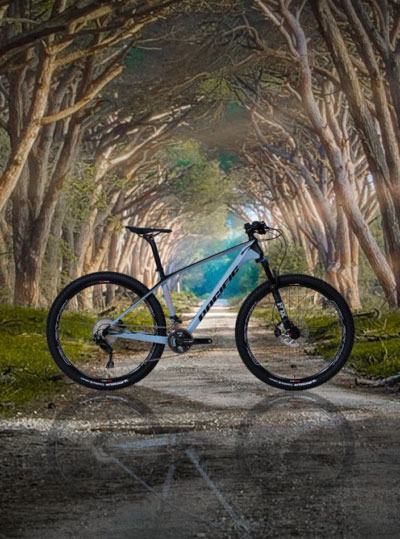 pacific mountain bike price