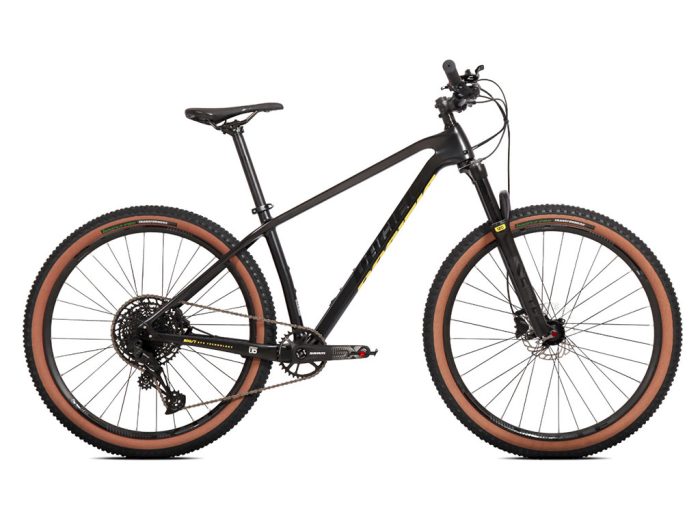 pacific arrow mountain bike