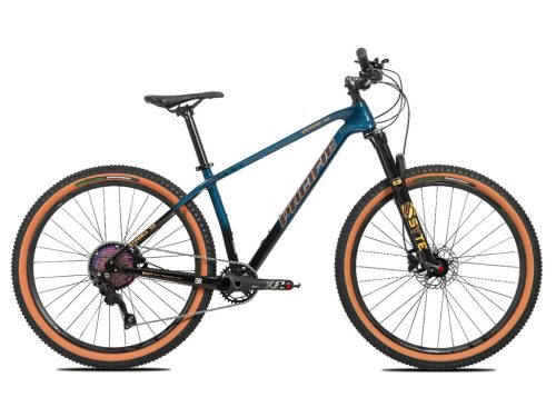 pacific xl2 mountain bike