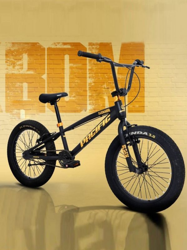 pacific bmx 20