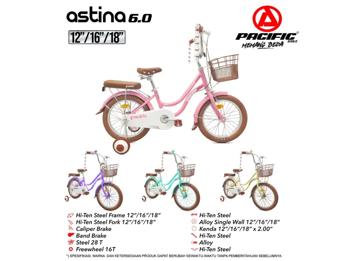 ASTINA 6.0 (12") - Gambar 3