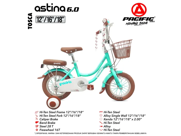 ASTINA 6.0 (12") - Gambar 2