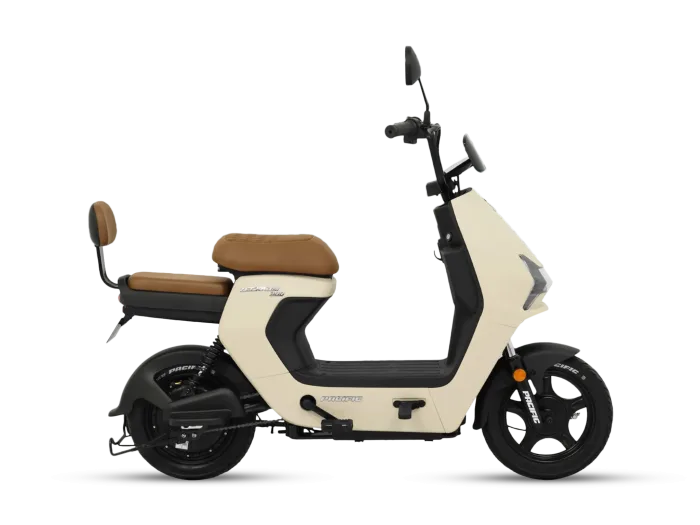ZECKROM 300